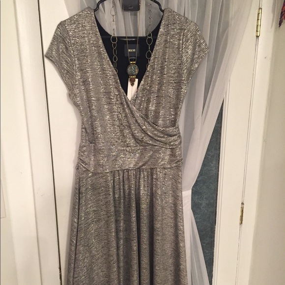 Anthropologie Dresses & Skirts - Anthropologie Shimmery Silver Dress NWT